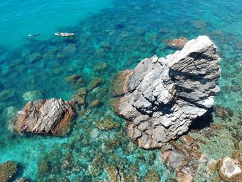 High angle view of crab on rock by sea