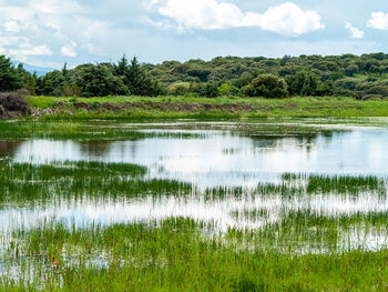 Scenic view of lake against sky