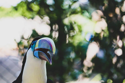 Low angle view of bird perching on tree