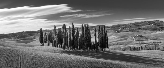 Panoramic view of agricultural field against sky