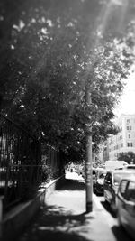 View of city street