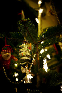 Illuminated christmas tree at night