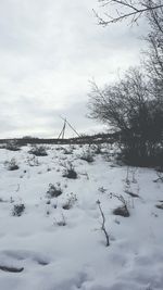 Close-up of birds flying over sea against sky