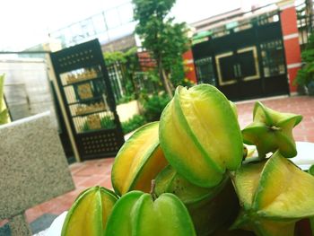 Close-up of fruits growing in city