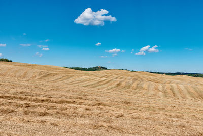 Scenic view of field against blue sky