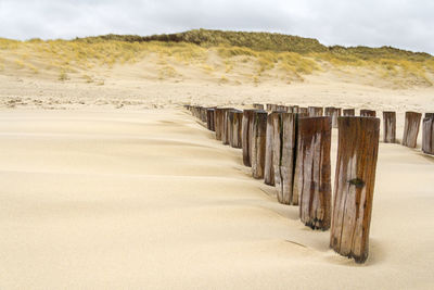 Wooden posts on beach against sky during winter