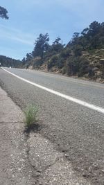 Road passing through forest