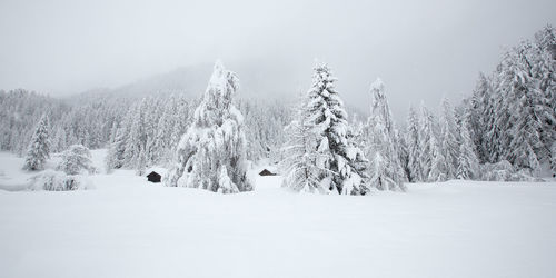 Snow covered land and trees against sky