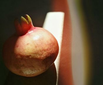 Close-up of red fruits