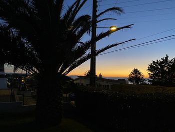 Silhouette palm trees against sky at sunset