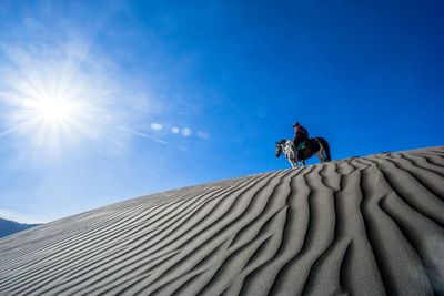 Low angle view of man riding horse on sand desert against clear sky