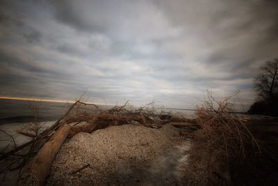 Scenic view of beach against sky