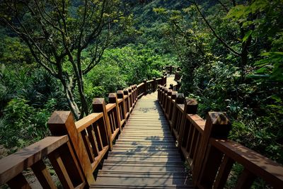 Wooden footbridge amidst trees in forest