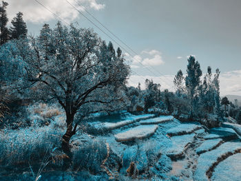 Snow covered land against sky