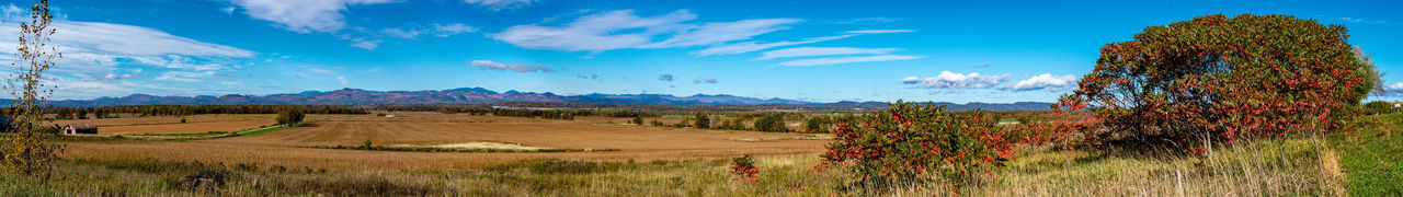 Panoramic view of agricultural field against sky