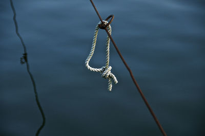 Close-up of rope tied on twig