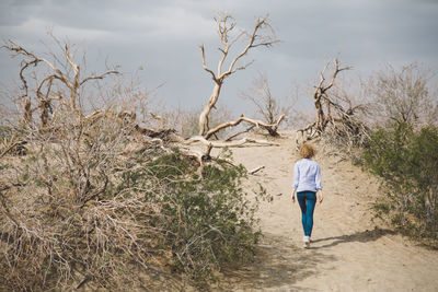 Rear view of man walking on bare tree