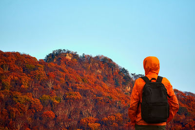 Rear view of man standing against mountain during autumn