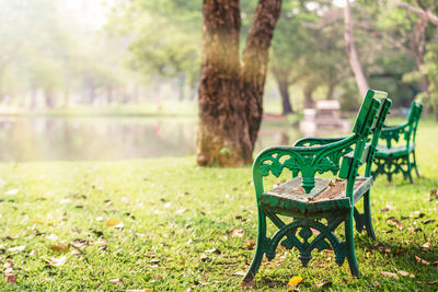 Empty bench in park