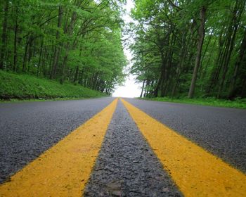 Surface level of road amidst trees in forest