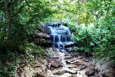 Waterfall in forest