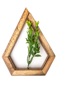 Close-up of food on cutting board against white background