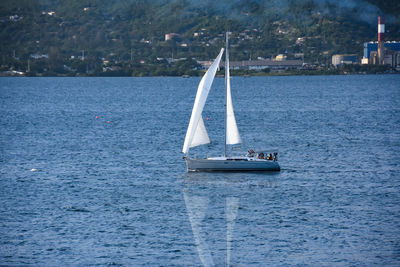 Sailboat sailing on sea