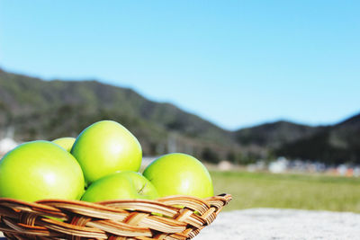Close-up of apples in basket against clear sky