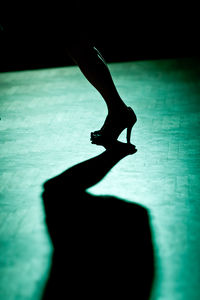 Low section of silhouette woman with shadow on floor