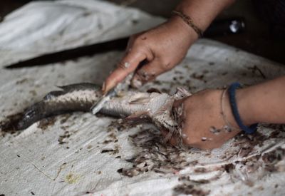 Cropped hand removing scales of fish at market