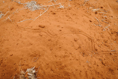 High angle view of sand on field