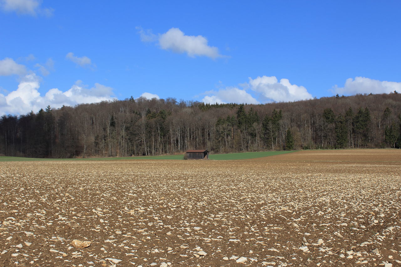 SCENIC VIEW OF FARMS AGAINST SKY