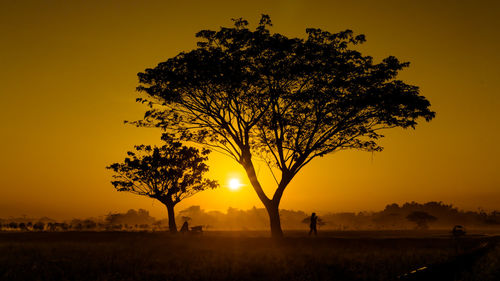 Silhouette tree on field against sky during sunset