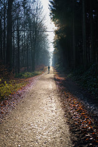 Man walking on footpath amidst trees in forest