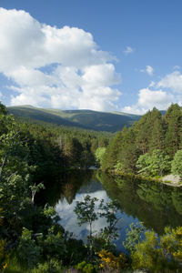 Scenic view of lake by trees against sky