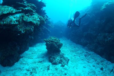 Man scuba diving in sea