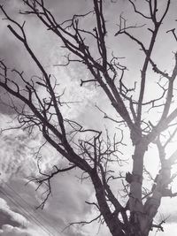 Low angle view of bare tree against sky