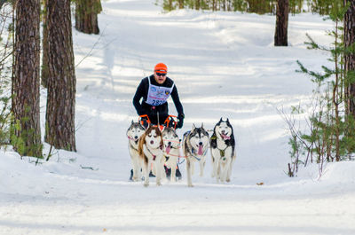 Two dogs on snow covered land