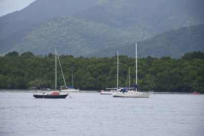 Sailboats sailing on sea against mountains