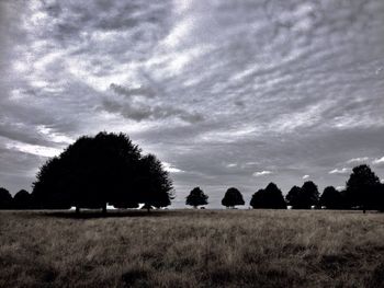 Scenic view of grassy field against cloudy sky