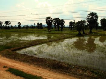 Scenic view of field against sky