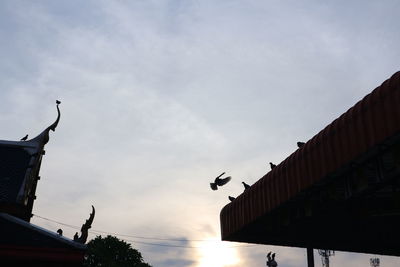 Low angle view of birds flying over building