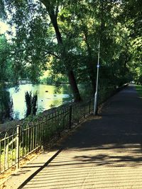 Footpath in park