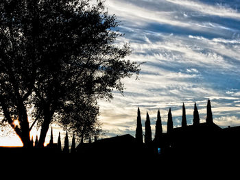 Low angle view of silhouette tree against cloudy sky