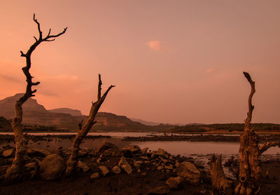 Bare tree by rocks against sky during sunset