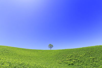 Scenic view of land against clear blue sky