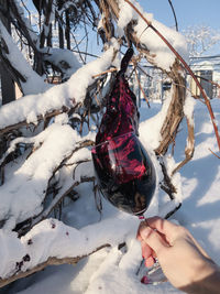 Red wine splashes out of a glass in a female hand against the background of a vine in the snow