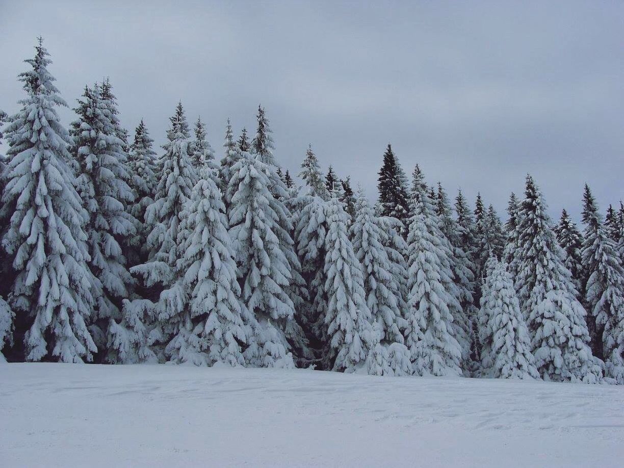 Korbielów Pilsko