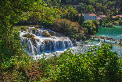 Scenic view of waterfall in forest