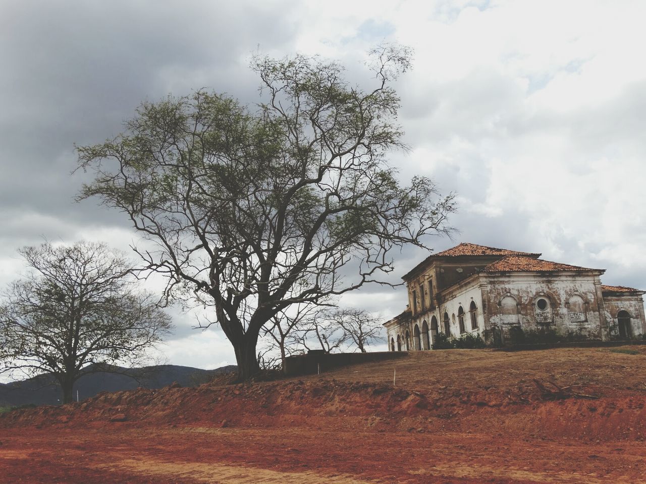 architecture, built structure, building exterior, sky, tree, bare tree, cloud - sky, old, field, cloudy, low angle view, house, cloud, history, abandoned, day, branch, nature, grass, landscape